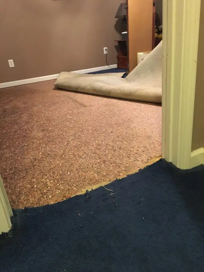 Carpet pad removal revealing water damage during Water Mitigation Services in Rolla