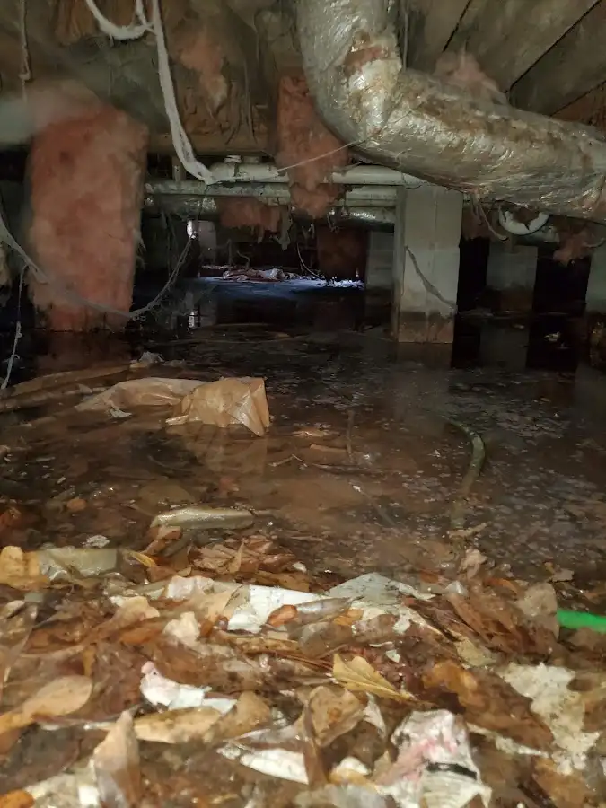 Crawl space flood assessment for Commercial Water Damage Restoration in Rolla