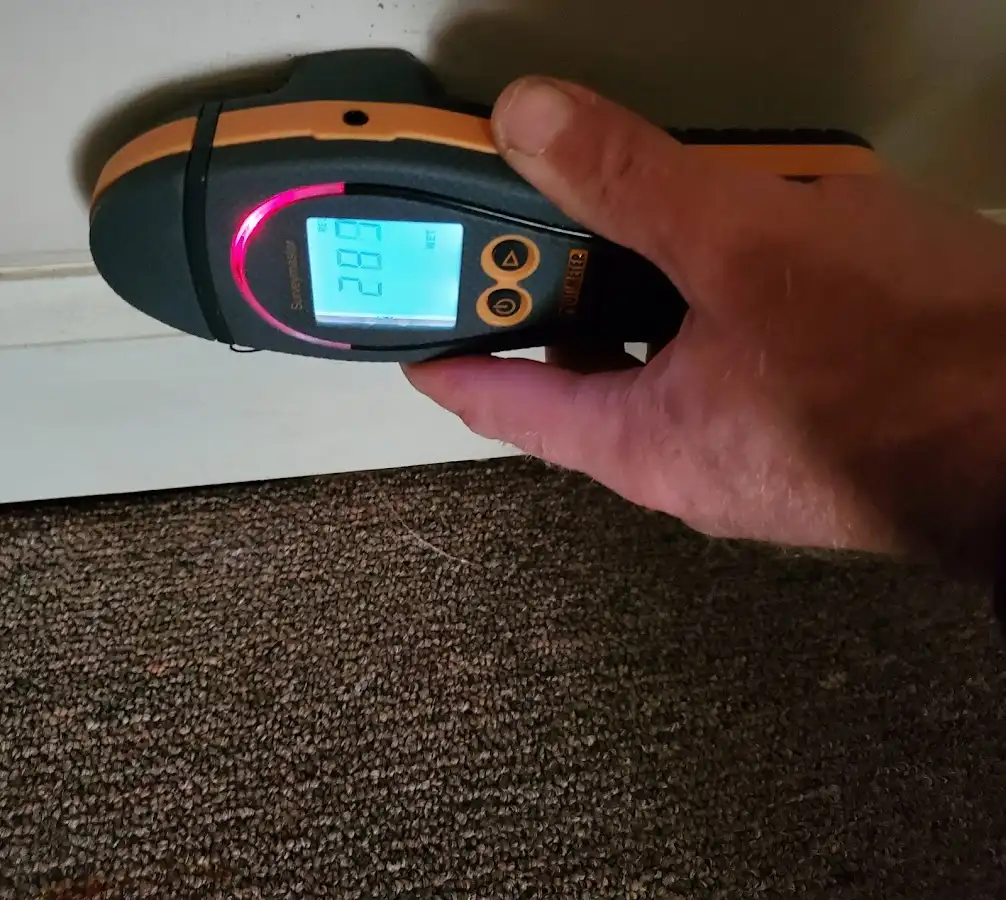Moisture detection at baseboard during Mold Inspection & Testing in Rolla